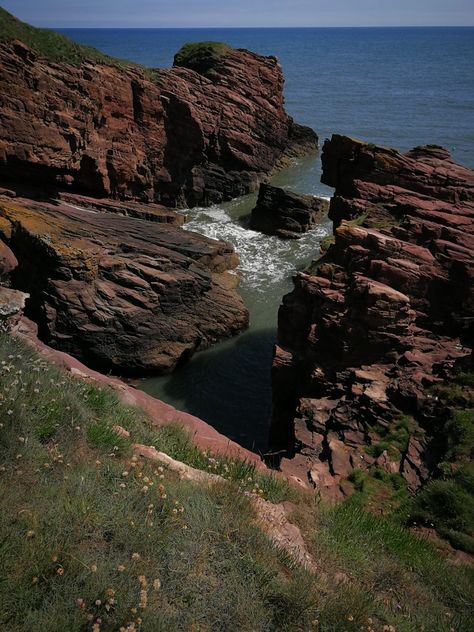 Arbroath Cliffs, Scotland Arbroath Scotland, Ayr Scotland, Angus Scotland, Dog Face, Dream Life, Art Ideas, Scotland, Vase, Wall Art