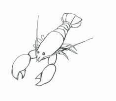 Lobster Drawing, Logo Reference, Drawing Pictures, Easy Drawing Tutorial, Paper Pencil, Baby Drawing, Piece Of Paper, Drawing Tutorial Easy, Doodle Illustration