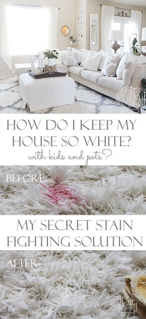 My go-to way of getting rid of stains! DIY Stain Fighter using ingredients you already have at home! Diy Staining, Homemade Cleaners, White Carpet, Car Cleaning Hacks, Diy Cleaners, Cleaners Homemade, Clean Dishwasher, Diy Household, House Cleaning Tips