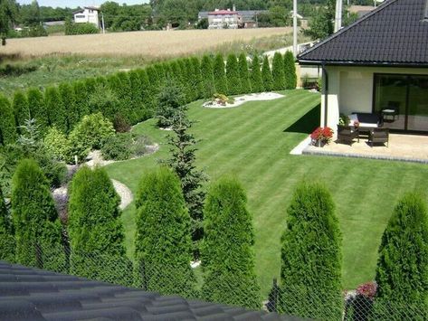 Privacy Landscaping Backyard, Privacy Fence Landscaping, Backyard Trees, Garden Pond Design, Privacy Landscaping, Backyard Privacy, Backyard Landscaping Ideas, Fence Landscaping, Outdoor Gardens Design