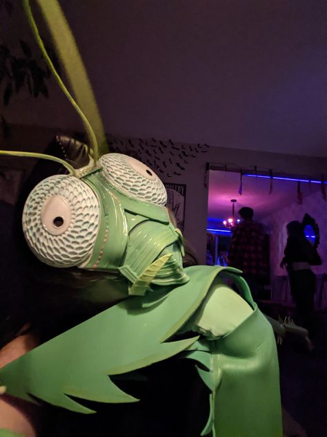 Praying Mantis Costume, Parade Puppets, Mantis Costume, Beetle Costume, Bird Costume, A Bug's Life, Praying Mantis, Halloween 2023, Craft Stuff