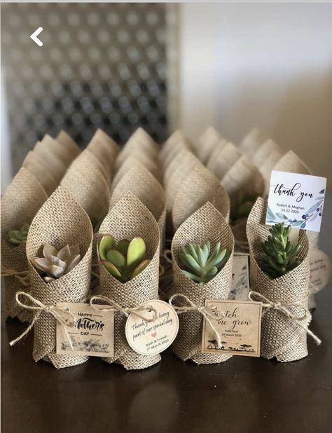 Recuerdos Primera Comunion Ideas, Idee Babyshower, Succulent Favors, Succulent Gifts, Future Wedding Plans, Shower Favors, Wedding Favours, Wedding Shower, Diy Wedding