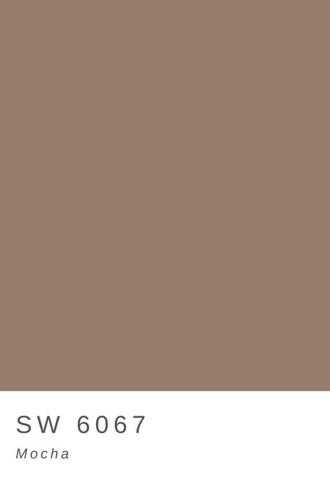 Mocha Shades Color Palettes, Sherwin Williams Mocha Paint, Mocha Colour Aesthetic, Mocha Brown Paint Color, Mocha Color Aesthetic, Coffee Color Paint, Mocha Paint Colors, Mocha Color Palette, Mocha Bedroom