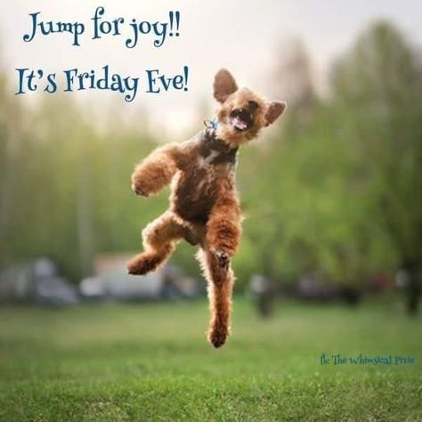 Work Related Quotes, Thursday Greetings, Fabulous Friday, Friday Eve, Related Quotes, Friday Blessings, Its Friday, Jump For Joy, Quotes For Work