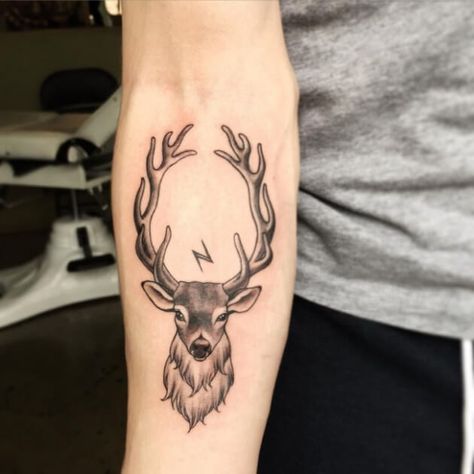 10+ Scottish Stag Tattoo Designs & Ideas | PetPress Deer Tattoo Meaning, Stag Tattoo Design, Buck Tattoo, Deer Tattoos, Antler Tattoos, Deer Head Tattoo, Elk Tattoo, Deer Skull Tattoos, Deer Tattoo Designs