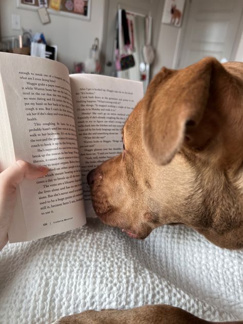 Dog Lovers Aesthetic, Dog And Book Aesthetic, Happy Dog Aesthetic, Guide Dog Aesthetic, Aesthetic Dog Pictures With Owner, Dog And Owner Aesthetic, College Dog Aesthetic, Dogs And Books Aesthetic, Owning A Dog Aesthetic