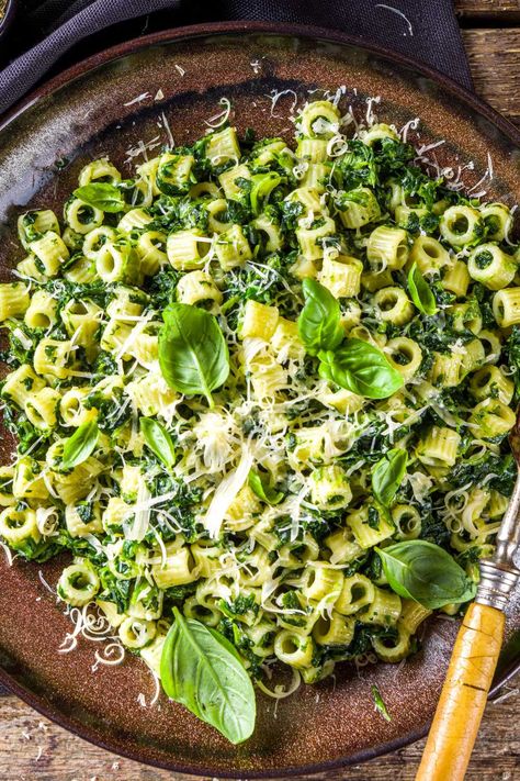 Canned Spinach Recipes, Canned Spinach, Recipes With Ditalini Pasta, Spinach Pasta Recipes, Creamed Spinach Recipe, Parmesan Crusted Pork Chops, Seafood Salad Pasta, Pasta Al Pesto, Ditalini Pasta