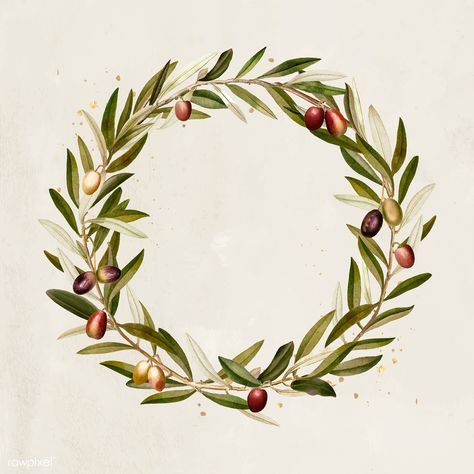 Olive wreath design element vector | premium image by rawpixel.com / NingZk V. Olive Branch Wreath, Olive Wreath, Wreath Illustration, Leaf Frame, Element Illustration, Wreath Drawing, Watercolor Wreath, Christmas Frame, Design Frame