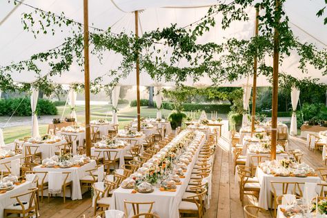 Farm Table Wedding Layout, Mixed Tables Wedding Reception Layout, 50 People Wedding Receptions, 250 Person Wedding Layout, Wedding Table Floor Plan, Wedding Reception Layout 150 Guests, Tent Wedding Reception Layout 150 Guests, Cocktail Style Wedding Reception Layout, 50 Person Wedding Seating