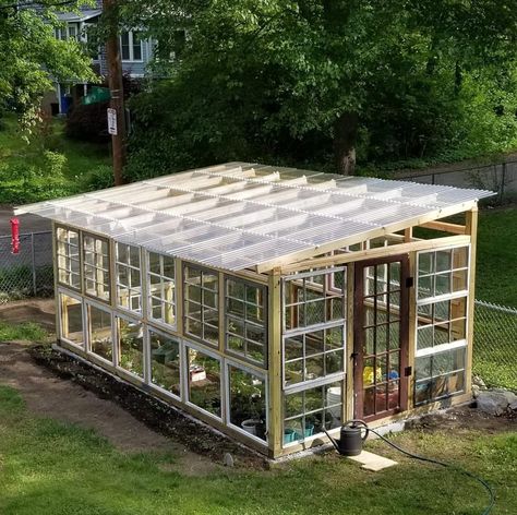 Diy Window Greenhouse, Outdoor Greenhouse Ideas, Small Greenhouse Ideas, Windows Greenhouse, Greenhouse From Old Windows, Greenhouse Winter, Old Window Greenhouse, Greenhouse Terrarium, Greenhouse Planting