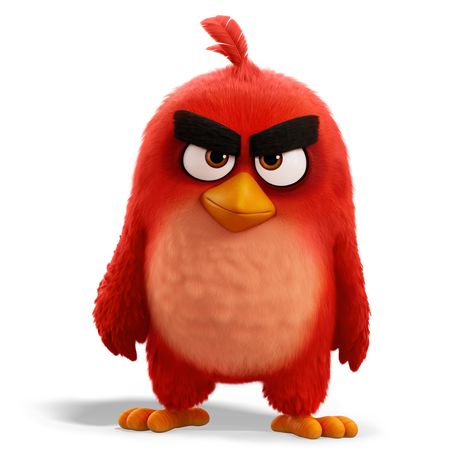 Cute Angry Birds, Angry Birds Characters, Red Angry Bird, Red Guy, Pencak Silat, Angry Bird, Walt Disney Pictures, Kung Fu Panda, Angry Birds