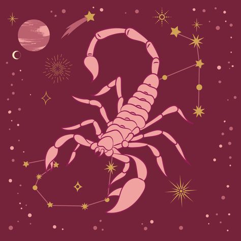 Scorpio Soulmate, Scorpio Symbol, Star Sign Art, Scorpio Art, Astrology Scorpio, Zodiac Signs Scorpio, Scorpio Sign, Astrology Art, Constellation Tattoos