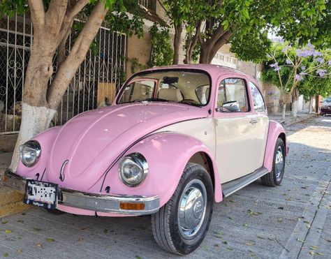 Vocho rosa Car Girlfriend, Pink Beetle, The Beetle, Vw Beetle Classic, New Beetle, Vw Bug, First Car, Vw Beetle, Open Road