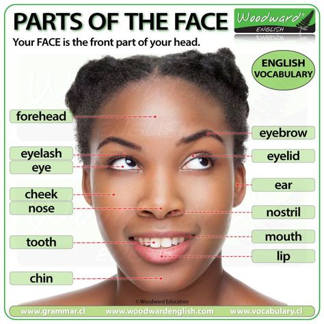 Parts of the Face in English See our complete English lesson (including a video with pronunciation) here: https://woodwardenglish.com/lesson/parts-of-the-face/ #Face #PartsOfTheFace #EnglishVocabulary #LearnEnglish #BasicEnglish #ESOL #education #EnglishTeacher #EnglishClass #EnglishWords Describing Facial Features, Face Parts, Person In English Grammar, Persons In English Grammar, Parts Of The Eye And Functions, Parts Of The Body In English, Woodward English, Learn English For Free, English Speaking Practice