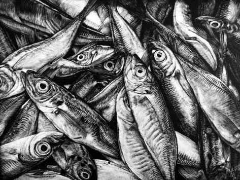 Fish Etching, Kitchen Mural, Scratchboard Artists, Fish Photos, Waste Art, Fish Animal, Drypoint Etching, Fish Artwork, Sea Life Art