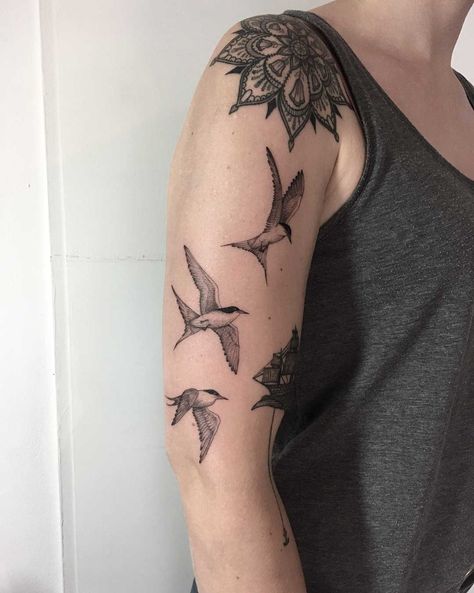 Tern Tattoo, Three Birds Tattoo, Rose Rib Tattoos, Bird Tattoos Arm, Small Bird Tattoos, Little Bird Tattoos, Related Tattoos, Bird Tattoos For Women, Inspirational Tattoo