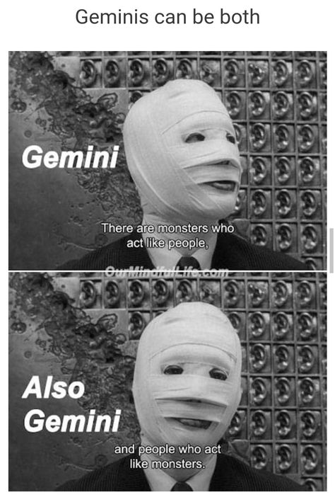 June Gemini, Zodiac Funny Memes, Gemini Zodiac Quotes, Zodiac Signs Pictures, Aries And Gemini, Gemini Traits, Zodiac Signs Memes Truths, Gemini Rising, Gemini Life