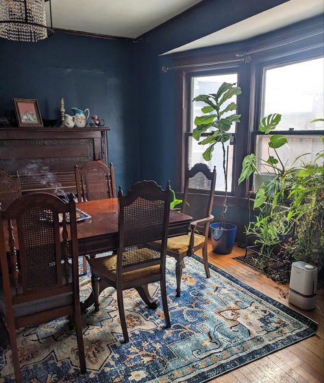 Dark Maximalist Dining Room, Maximalist Plants, Blue Maximalism, Maximalist Dining Rooms, Kitchen Dark Blue, Persian Vibe, Dark Blue Dining Room, Maximalist Dining Room, Dark Maximalist