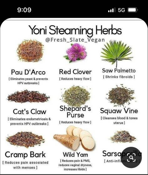 Herbal Steam, Womb Healing, Medical Herbs, Magic Herbs, Feminine Health, Natural Healing Remedies, Herbal Healing, Herbal Magic, Herbs For Health