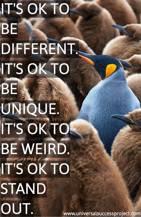 It's ok to be different. It's ok to be unique. It's ok to be weird. It's ok to stand out. These are all of the qualities of great entrepreneurs. You have to know, understand and embrace what sets you apart from the rest so you can harness the power. #unique #different #focus #determination #mindset #ambition #success #hustle #entrepreneur #quote #love #work #amazing #motivation #life #universalsuccessproject Its Ok To Be Different Quotes, Its Ok To Be Weird, Its Ok To Be Different, It Will Be Ok Quotes, Clickbank Affiliate, Be Weird, Tips For Moms, Dear Self, Different Quotes