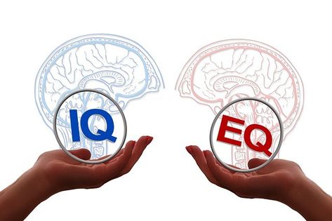 Common Subjects That Are Tested In Psychometric Tests - CareerGuide What Is Emotional Intelligence, Intelligence Quotient, High Emotional Intelligence, Intelligence Test, Social Intelligence, Types Of Intelligence, Executive Leadership, High Iq, Lead Generation Real Estate