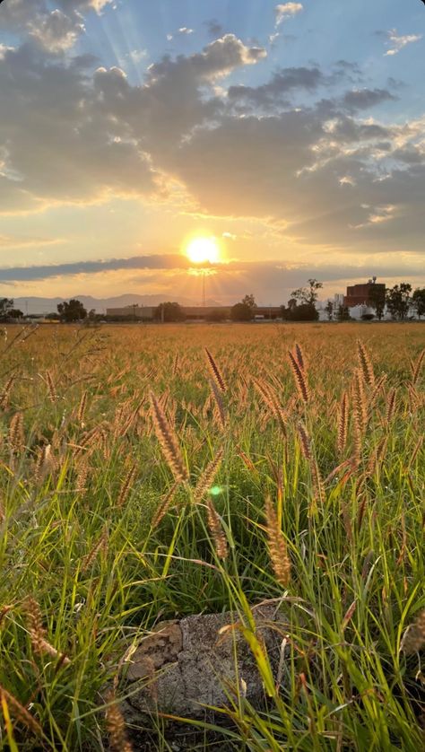 Sky Village, Paddy Field, Morning Photography, Field Photography, Sunrise Pictures, Village Photography, Ghost Photos, Photo To Cartoon, Morning Sunrise