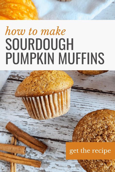 Easy Sourdough Pumpkin Muffins Sour Dough Bread Machine Recipe, Sourdough Pumpkin Muffins, Best Sourdough Starter Recipe, Pumpkin Sourdough, Pumpkin Muffins Recipe, Sourdough Pumpkin, Sourdough Muffins, Vanilla Muffins, Sourdough Starter Discard Recipe