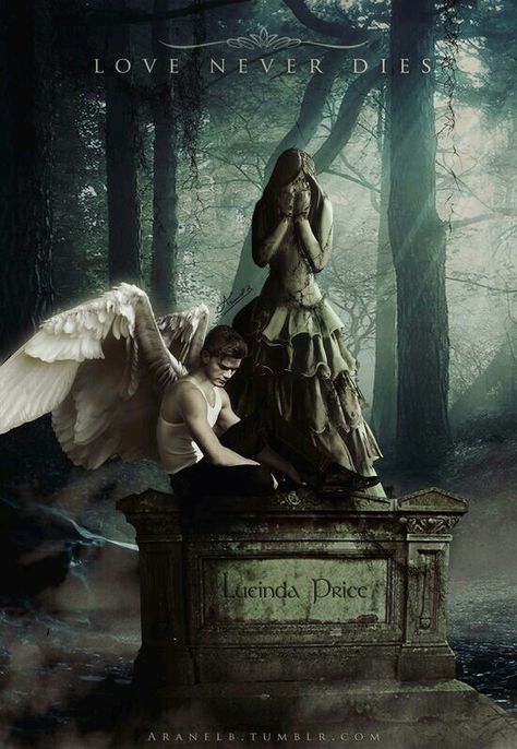 Love never dies..... Lauren Kate Fallen, Fallen Saga, Demon Lover, Lauren Kate, Fallen Series, Gothic Fantasy Art, رعب نفسي, Fantasy Magic, Fallen Book