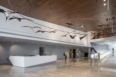 © Amit Geron University Interior, University Interior Design, University Photography, Dinosaur Museum, Museum Interior, Museum Design, Lobby Interior Design, Nature Museum, Lobby Interior