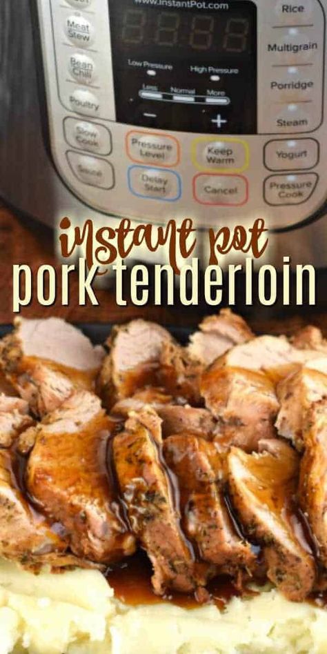 Easy Instant Pot Dinner Recipes For Family, Pre Seasoned Pork Tenderloin Instant Pot, Pampered Chef Instant Pot Recipes, Instapot Pork Loin Recipes, Pork Tenderloin In Instant Pot, Instant Pot Pork Tenderloin Recipes, Pork Loin Recipes Instant Pot, Pork Tenderloin Recipes Instant Pot, Instapot Meat