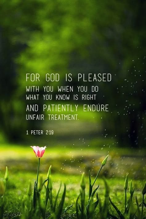 scriptureinpictures:  Difficult people around you? The Lord Jesus endured more than we ever will and He STILL walks with us, experiencing th... Scripture Writing, Ayat Alkitab, Difficult People, Life Quotes Love, Inspirational Bible Quotes, 1 Peter, Faith Inspiration, The Grass, Scripture Quotes