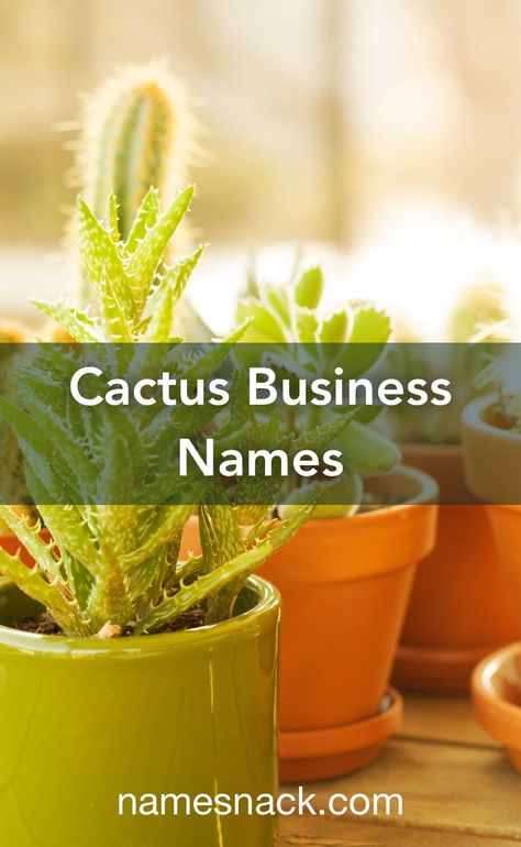 Plant Business Name Ideas, Plant Shop Names, Desert Names, Cute Business Names, Cactus Names, Cactus Farm, Western Names, Catchy Name, Shop Name Ideas