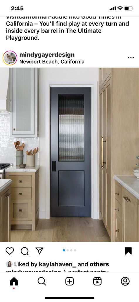 Glass Pantry Door Ideas Modern, Black Pantry Door Ideas, Pantry Door Black, Black Pantry Door, Black Pantry, Kitchen Pantry Door, Pantry Door Ideas, Kitchen Pantry Doors, Glass Pantry Door