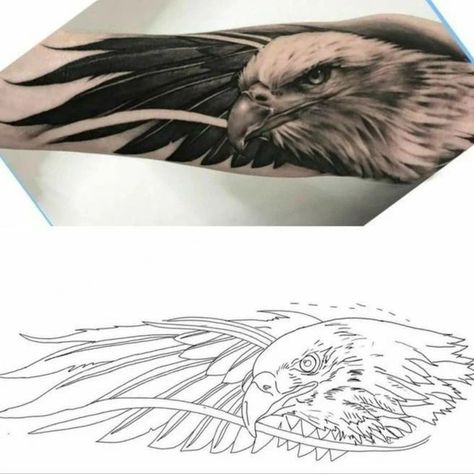 Realistic Eagle Tattoo Design, Eagle Tattoo Sleeve, Eagle Head Tattoo Design, Eagle Face Tattoo, Eagle Tattoo Stencil, Realistic Tattoo Stencil, Realism Tattoo Stencil, Tator Tot Casserole Recipe Easy, Tatoos Men Ideas