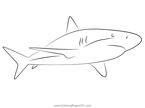 Caribbean Reef Shark Coloring Page Reef Shark Drawing, Blacktip Reef Shark Drawing, Shark Drawing, Animal Outline, Shark Coloring Pages, Reef Shark, Mini Drawings, Ocean Art, Free Kids