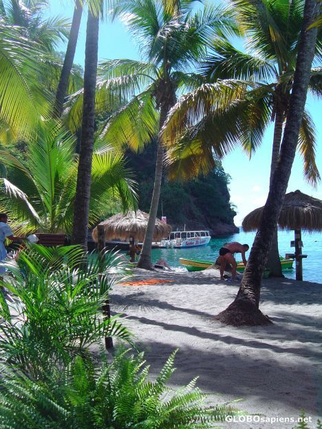 Rodney Bay, St. Lucia Rodney Bay St Lucia, St Lucia Beach, Saint Lucia, Mini Vacation, Caribbean Islands, St Lucia, Cruise Ship, Bahamas, Places To Visit