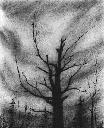 simple charcoal drawings - Google Search Easy Charcoal Drawings, Charcole Drawings, Drawing Charcoal, Dark Tree, Art Charcoal, Charcoal Drawings, Charcoal Sketch, Charcoal Art, Drawing For Beginners