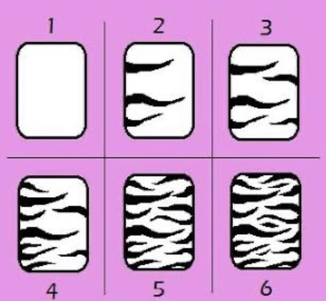 Polish Cookies, Beginner Nail Designs, Zebra Print Nails, Animal Print Nails Art, Business Nails, Acrylic Nails At Home, Zebra Nails, Art Deco Nails, Beauty Boost