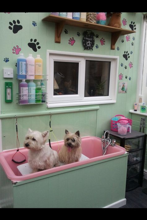 Dog Daycare Business, Tub Room, Dog Grooming Tubs, Mobile Pet Grooming, Pet Grooming Salon, Dog Grooming Shop, Dog Spa, Dog Washing Station, Dog Grooming Salons