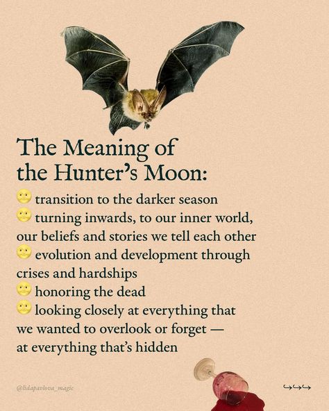 Astrologically, we are all having the same Full Moon all over the globe. But in terms of seasonal magic, it’s very different: here, in Serbia, I’m having spring, but some of my audience are experiencing autumn — if they live in the Southern Hemisphere. Seasonal magic is the art of feeling your land’s seasons, one Moon month after another — and doing your craft accordingly🌙 The names, such as Hunter’s Moon for this particular Full Moon, can be optional and change from one tradition to anoth... Hunters Moon Ritual, Hunters Full Moon, October Full Moon, Magic Lessons, Witchcraft Inspiration, Full Moon Meaning, Hunter Moon, Full Moon Magic, Hunters Moon