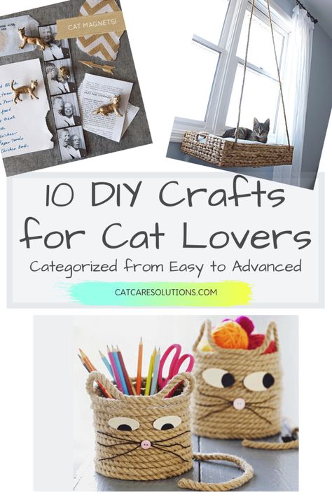 Making Cats Craft, Animal Crafts For Adults, Cat Themed Crafts For Adults, Cat Lover Crafts, Cat Themed Gift Basket, Diy Cat Crafts Gift Ideas, Diy Cat Gifts For People, Cat Things Diy, Crafts For Cat Lovers