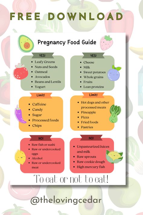 Wondering what you should eat during pregnancy and how much? Learn more about nutrition during pregnancy and grab your free printable bundle nutrition guides! Pregnancy Food Plan, Food List For Pregnant Women, What To Eat During Pregnancy, Diet During Pregnancy, Pregnancy Diet, What Not To Eat When Pregnant, Prenatal Nutrition Plan, Pregnancy Diet Chart, Healthy Eating During Pregnancy