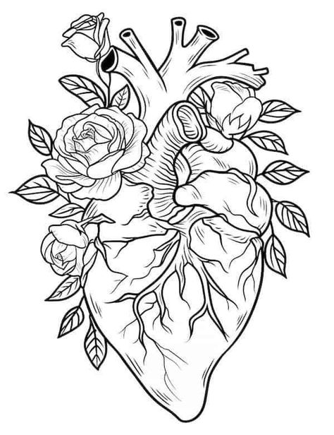 Rose Coloring, Rose Coloring Pages, Skull Coloring Pages, Adult Coloring Books Printables, Heart Coloring Pages, Detailed Coloring Pages, Tattoo Stencil Outline, Free Adult Coloring Pages, Hard Quotes