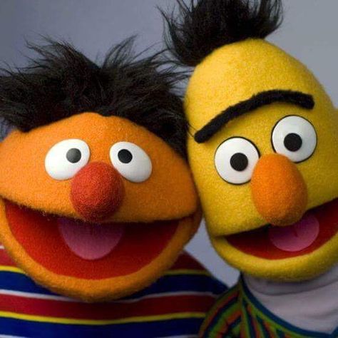 Epi Y Blas, Beto Y Enrique, Ernie Und Bert, Frank Oz, Bert And Ernie, Sesame Street Muppets, Bert & Ernie, Sesame Street Characters, Fraggle Rock