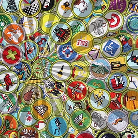 Scouting BSA Merit Badges | Merit Badge Courses Scout Merit Badges, Boy Scout Badges, Boy Scouts Merit Badges, Virtual Museum Tours, Pug Names, Scouts Bsa, Wood Badge, Class Pet, Scout Badges