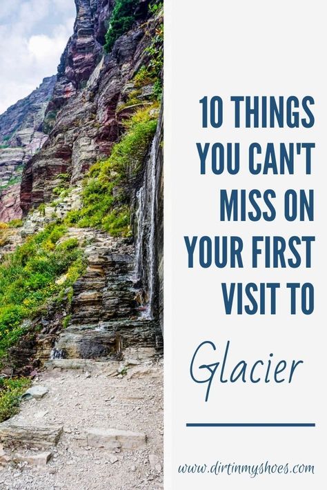 There are so many great things to do in Glacier! Camping, hiking, and wildlife spotting are some of my favorite things to do in the park. If you are planning a vacation, check out my favorite things to see and do on this list of things you can't miss on your next trip to Glacier National Park. Glacier National Park Camping, Glacier National Park Vacation, Visiting Glacier National Park, Glacier National Park Hikes, Glacier National Park Trip, Glacier Montana, Many Glacier, Montana Travel, National Park Camping