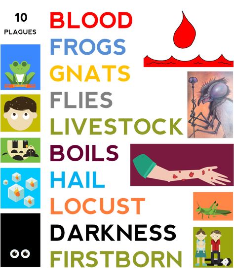 Ten Plagues of Egypt: Things You Might Not Know Moses And The 10 Plagues, 10th Plague Of Egypt Craft, Moses Plagues, Ten Plagues Of Egypt, Egypt Lessons, Egypt Crafts, 10 Plagues, Expense Sheet, Plagues Of Egypt