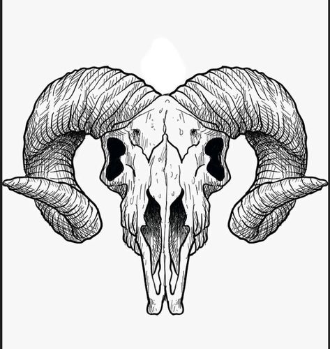 Goat Skeleton Tattoo, Goat Head Tattoo Satanic, Goat Line Art, Animal Skulls Drawing, Sheep Skull Tattoo, Goat Skull Drawing, Ram Skull Tattoo Design, Ram Skull Drawing, Ram Head Tattoo