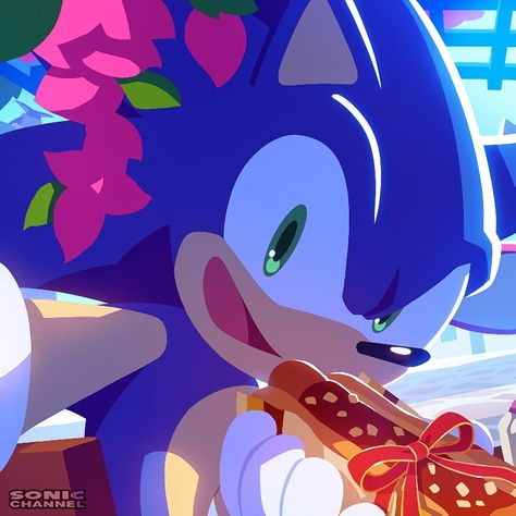 Sonic Icon, Sonic Underground, Japanese Video Games, Sonic 3, Sonic Franchise, Blue Hedgehog, Sonic Adventure, Hedgehog Art, Sonic And Shadow