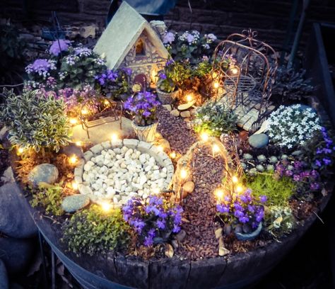 Magical Lights in the Fairy Garden | Little Tudor on the Prairie Fairy Garden Design Ideas, Miniature Garden Design, Fairy Garden Pots, Indoor Fairy Gardens, Fairy Garden Ideas, Fairy Garden Designs, Fairy Garden Crafts, Garden Vines, Fairy Garden Houses